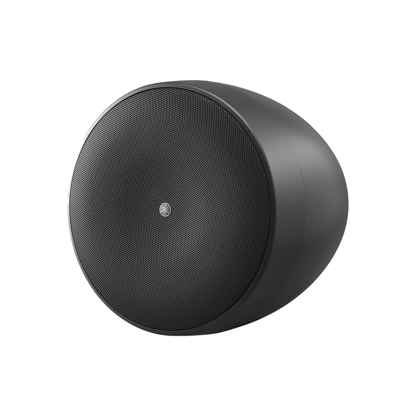 Altavoz Colgante Comercial | 6.5 in | 2 Vias, 300w | 8 Ohms | 70v/100v | Negro