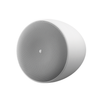 Altavoz Colgante Comercial | 6.5 in | 2 Vias | 300w | 8 Ohms | 70v/100v | Blanco