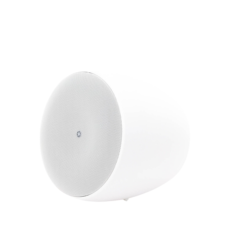Altavoz Colgante Comercial | 6.5 in | 2 Vias | 300w | 8 Ohms | 70v/100v | Blanco