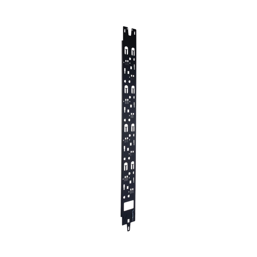 Panel Administrador de Cables Vertical para Gabinete FlexFusion™ de 42RU, Acepta Anillos en D, Anillos S1DR, S2DR y L; S1LR, S2LR, Color Negro