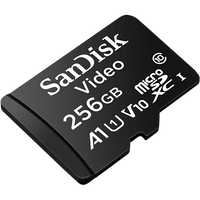 Memoria microSD SanDisk 256GB / Alta Resistencia / Videovigilancia / Clase 10