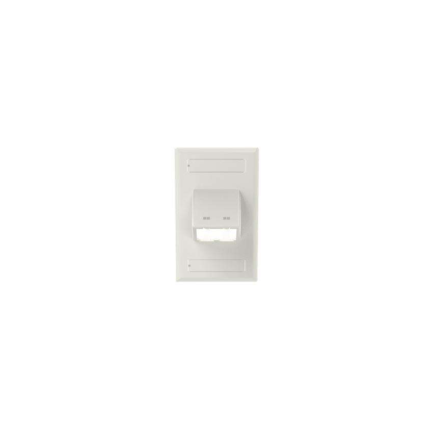 Placa de Pared Vertical Clásica, Salida Para 2 Puertos Mini-Com Inclinados, Con Espacios Para Etiquetas, Color Blanco