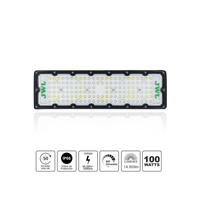 Reflector LED 100 W /350 x 100 mm / 85 - 265 Vca~ 50/60Hz / TCC 6 500 K / Uso en exterior.