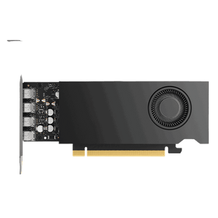 Tarjeta Gráfica Profesional NVIDIA RTX 2000 Ada Generation / 16 GB GDDR6 ECC / 2.816 CUDA Cores / 22 RT Cores / 88 Tensor Cores / PCIe 4.0 x8 / 70W TDP / 4x Mini DisplayPort 1.4a / AV1 Encode-Decode