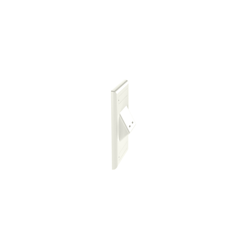 Placa de Pared Vertical Clásica, Salida Para 2 Puertos Mini-Com Inclinados, Con Espacios Para Etiquetas, Color Blanco
