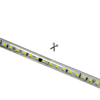 Manguera LED Luminosa Blanca de Resina Transparente y Flexible / Para uso Interior o Exterior / Carrete de 50 m/ 110V CA  4.2 A/ 500 W Potencia / T.C.C. 6500 K.