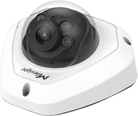 Cámara IP Mini Domo / 4K UHD / 120dB WDR / 0.005Lux Starlight / H.265+ / IR 30mts / PoE / IP67 / IK10 / Análisis de Video AI