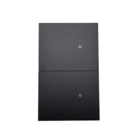 Apagador inalámbrico ZigBee 110-220V 2 GANG