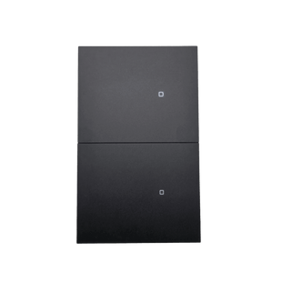 Apagador inalámbrico ZigBee 110-220V 2 GANG