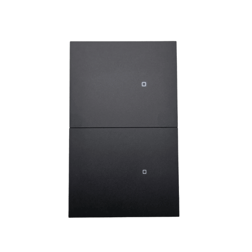 Apagador inalámbrico ZigBee 110-220V 2 GANG