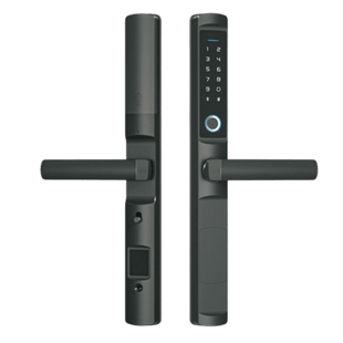 Cerradura inteligente inalámbrica ZigBee. IP65, compatible con pantallas Akubela