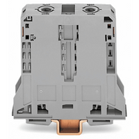 Borna de Paso para Corrientes Elevadas, 95 mm², POWER CAGE CLAMP, 2 Puntos de Conexión, 232 A, 1000 V, Montaje Carril DIN 35x15, Gris