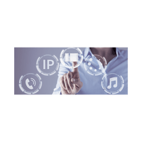 Streamer de Audio en Red  | Multicast IP | Codecs L16 y PCMA | Gestión Centralizada EGI_MIS_Lite | Integración VB-Audio Virtual Cable