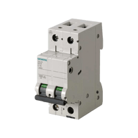 Interruptor Riel Dinn Tipo 5SL6, 2 polos, 40 amp