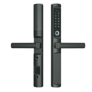 Cerradura inteligente inalámbrica ZigBee. IP65, compatible con pantallas Akubela