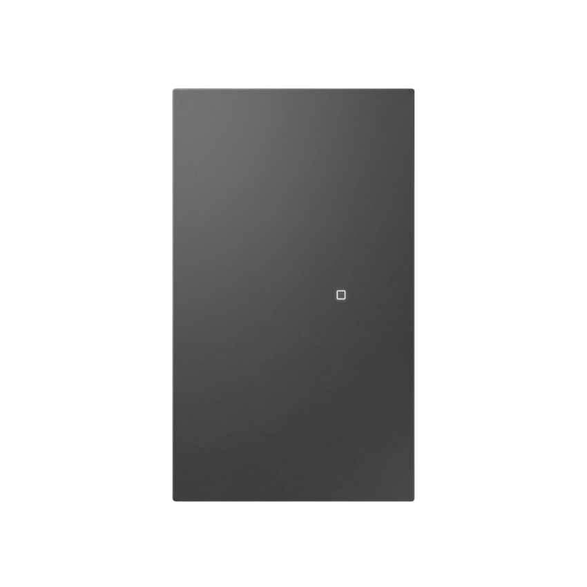 Apagador inalámbrico ZigBee 110-220V 1 GANG