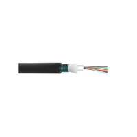 Cable de Fibra Óptica de 24 Hilos, Monomodo OS2, Interior/Exterior, Armada, Loose Tube 250um, OFCP (Plenum), Precio Por Metro