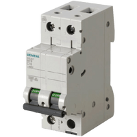 Interruptor Riel Dinn Tipo 5SL6, 2 polos, 50 amp