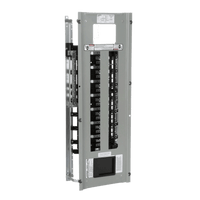 Interior de tablero P1, para montar interruptores BL/BQD, 250A, 3F, 4H, 220/127 ó 480/277 V c.a., 18 Circuitos, Barras de Aluminio
