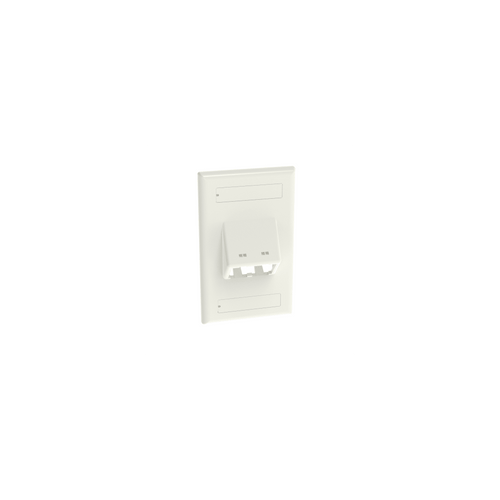 Placa de Pared Vertical Clásica, Salida Para 2 Puertos Mini-Com Inclinados, Con Espacios Para Etiquetas, Color Blanco