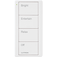 Control remoto inalambrico PICO, con escenas predefinidas para espacio en sala..