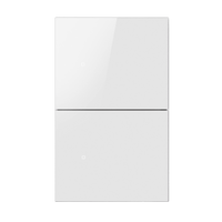 Apagador inalámbrico ZigBee 110-220V 2 GANG
