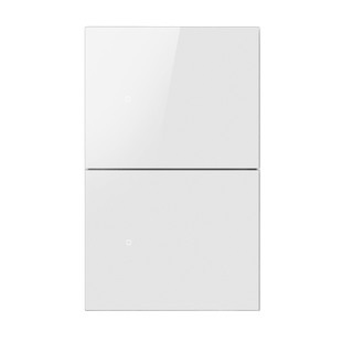 Apagador inalámbrico ZigBee 110-220V 2 GANG
