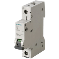 Interruptor Riel Dinn Tipo 5SL6, 1 polo, 10 amp