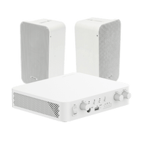 Kit de amplificador con bluetooth | 2 altavoces para pared | Sistema 100V |  2 Canales con Control de volumen Independiente |  Música Ambiental
